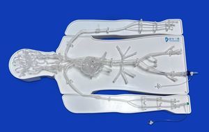 modelo vascular intracraneal 1