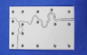 modelo vascular de la arteria carótida interna 1
