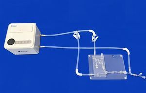 modelo vascular de cerebro 1