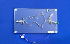 modelo vascular de sistema nervioso 1