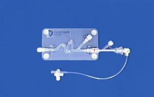 modelo vascular de sistema nervioso 1