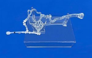 modelo vascular de cerebro 1