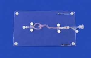 modelo vascular de la arteria cerebral media 1