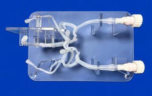 modelo vascular de sistema nervioso 1