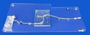 modelo vascular de arteria carótida 1