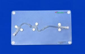 modelo vascular de arteria cerebral 1
