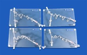 modelo vascular de la arteria carótida interna 1