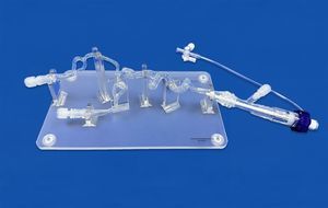 modelo vascular intracraneal 1