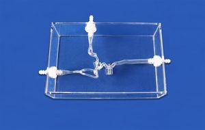 modelo vascular de cerebro 1