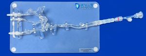 modelo vascular de arteria carótida 1