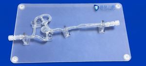 modelo vascular de la arteria cerebral anterior 1