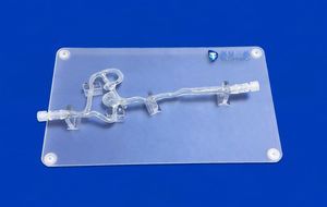 modelo vascular de la arteria cerebral anterior