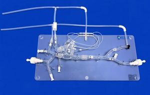 modelo vascular de vena 1