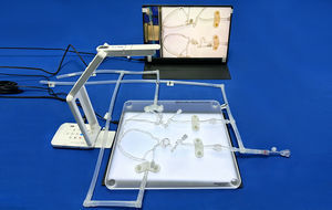 modelo vascular de sistema nervioso 1