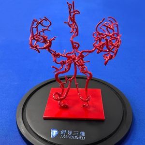 modelo vascular cerebral 1