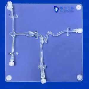 modelo vascular de arteria carótida 1