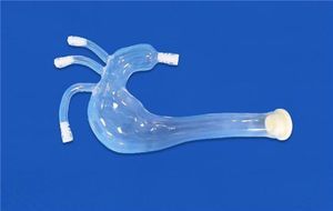 modelo vascular de la arteria carótida común izquierda 1
