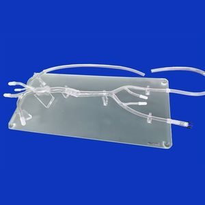 modelo vascular de arteria femoral 1