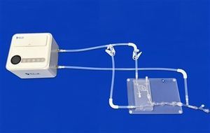 modelo vascular de arteria intracraneal 1