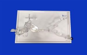 modelo vascular arteria ilíaca 1