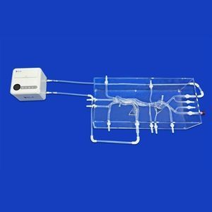 modelo vascular arteria ilíaca 1