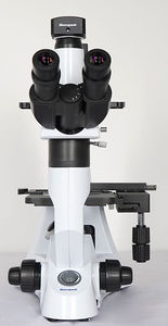 microscopio óptico