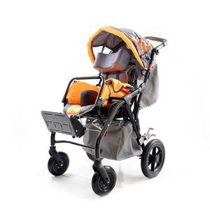 carrito para niños con discapacidad 1