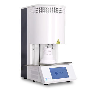horno de oxidación 1