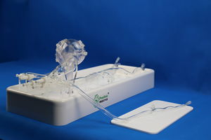 modelo anatómico de arterias coronarias
