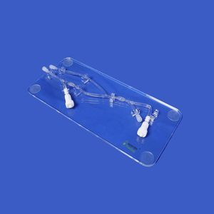modelo vascular miembros superiores