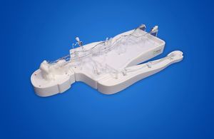 modelo vascular de cerebro