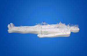 modelo vascular de cuerpo entero 1