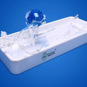 modelo vascular de arterias coronarias 1