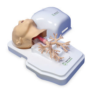 modelo anatómico de aparato respiratorio