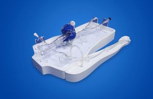 modelo vascular de arteria femoral 1