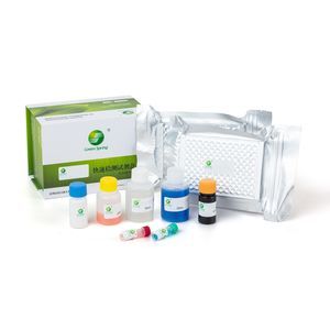kit de prueba de enfermedades gastrointestinales 1