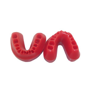 modelo anatómico gingival 1