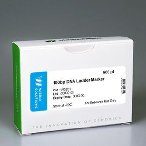escalera de ADN 1