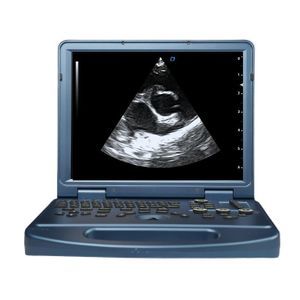 ecógrafo veterinario portátil 1