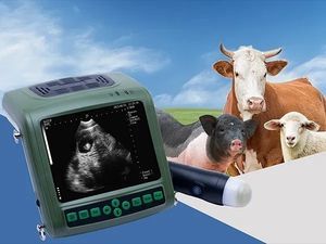 ecógrafo veterinario portátil