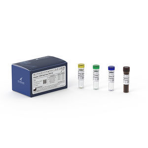 kit de prueba de enfermedades respiratorias