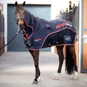 unidad de magnetoterapia veterinaria