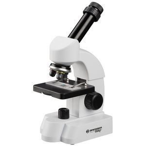 microscopio óptico 1