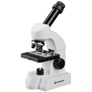 microscopio óptico 1