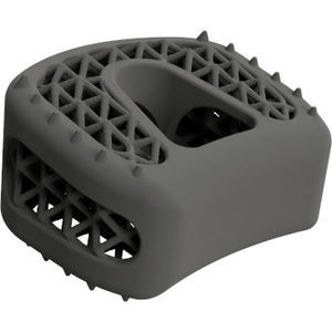 caja intersomática cervical