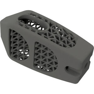 caja intersomática lumbar