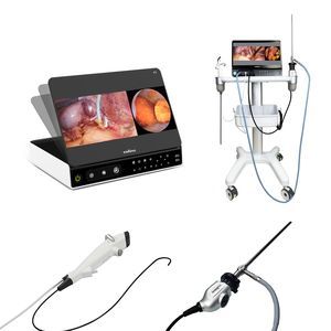 procesador de vídeo para endoscopia 1