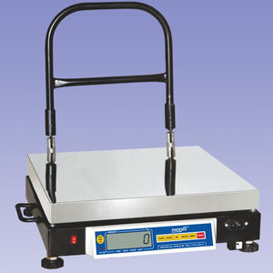 balanza electrónica 1