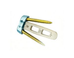 caja intersomática cervical 1