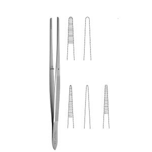pinza dental 1